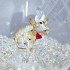 SCS - Kerstbal Ornament - Jaarlijkse Editie 2026