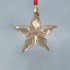 Swarovski Kristal | Kerst | Kerst Ornamenten | Kerstster - Jaarlijkse Editie Ornament - Set Festive - 2023 - Golden Shadow | 5649780