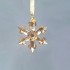 Swarovski Kristal | Kerst | Kerst Ornamenten | Kerststerren | Kerstster - Set - 2022 - Feestelijk Ornament - Golden Shadow | 5634890