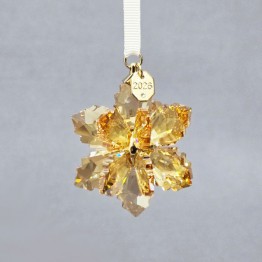 Kerstster - Jaarlijkse Editie 2026 - 3D Ornament - Festive - Golden Shadow