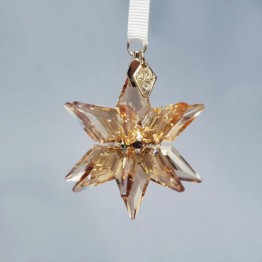 Kerstster - Jaarlijkse Editie 2023 - 3D Ornament - Festive - Golden Shadow
