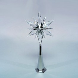 Kerstboompiek - Shining star