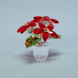 Kerstster in pot Siam - zonder doos en cert.
