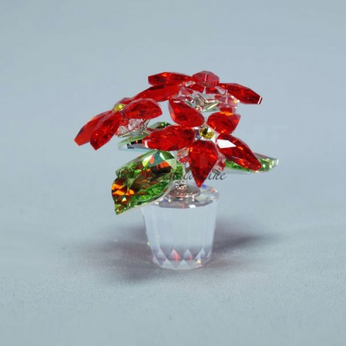 Kerstster in pot Siam - zonder doos en cert.