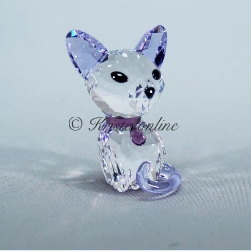 Kitten - Fiona de Siamees