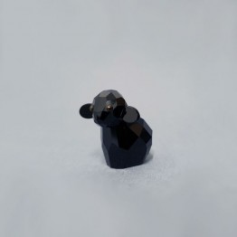 Shady - Schaap