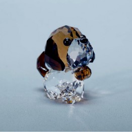 Puppy - Bernie de Sint Bernard
