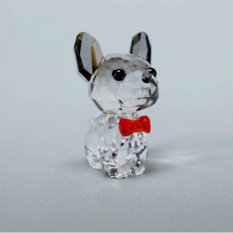 Puppy - Bruno de Franse Bulldog