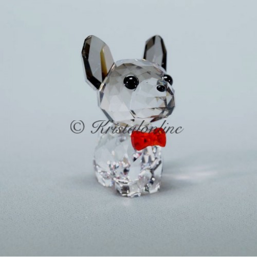 Puppy - Bruno de Franse Bulldog