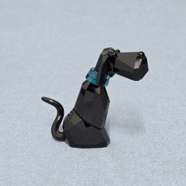 Salvator - Hond