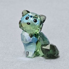 Andy - De Kat