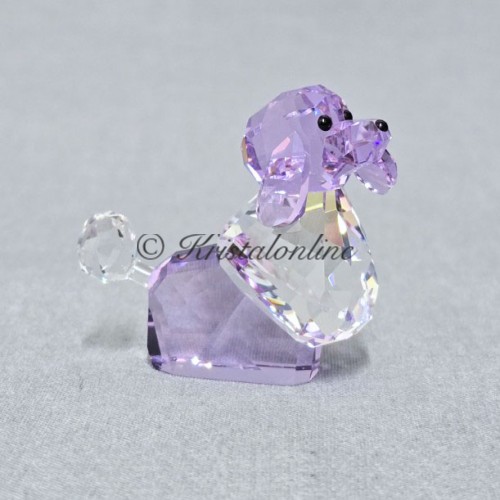 Violetta - Hond - Gelimiteerde Editie 2008