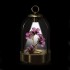Swarovski Kristal | Garden Tales | LED Lantaarn - Hibiscus | 5619240