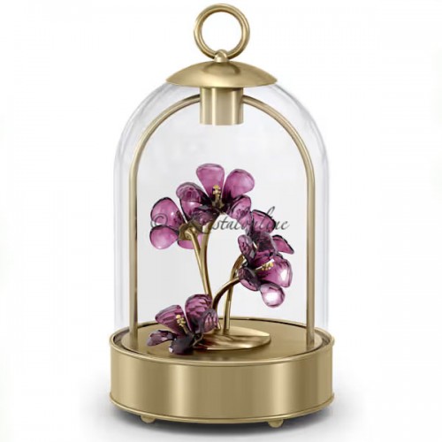 Swarovski Kristal | Garden Tales | LED Lantaarn - Hibiscus | 5619240