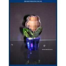 Bloem - Middel