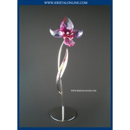 Swarovski Kristal | Crystal Paradise | Dorora - Fuchsia Rain 681542