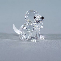 Beagle zittend