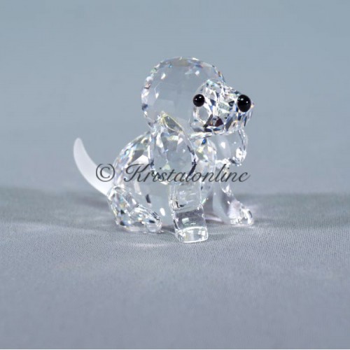 Beagle zittend
