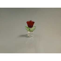 Tulp Rood - Klein