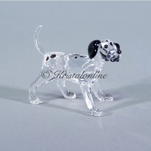 Dalmati&euml;r puppy staand