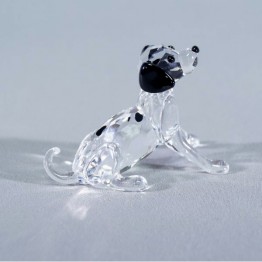 Dalmatiër puppy zittend