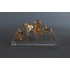 Display, groot
