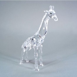 Giraffe baby - zonder doos en cert.