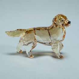 Golden Retriever Moeder