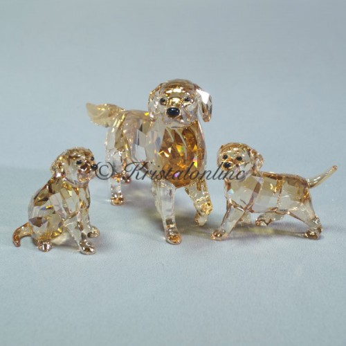 Golden Retriever set