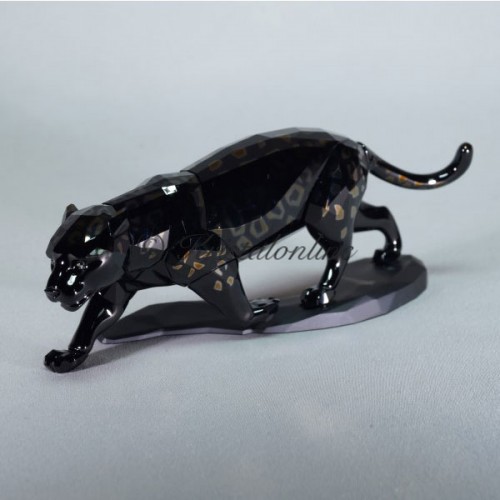 Jaguar Zwart