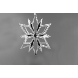 Kerstboompiek 