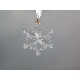 Kerstster - Jaarlijkse Editie 2012