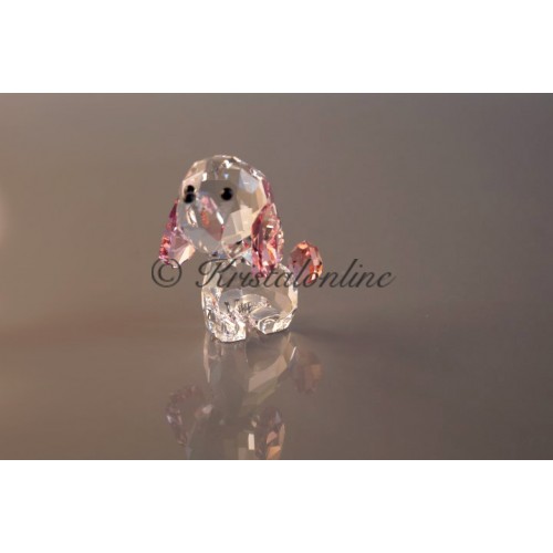 Puppy - Rosie de Poedel
