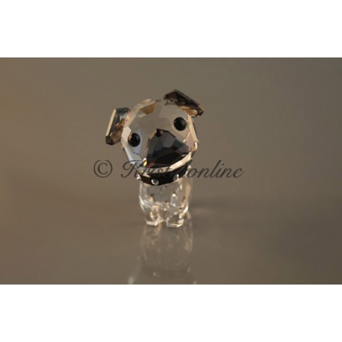 Puppy - Roxy de Mopshond