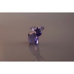Mini Mo - Blue Violet - Gelimiteerde Editie 2015