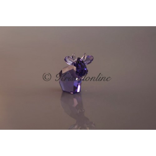 Mini Mo - Blue Violet - Gelimiteerde Editie 2015