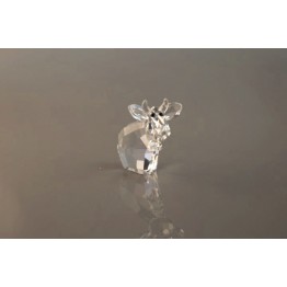 Mini Mo - Sparkling White - Gelimiteerde Editie 2015