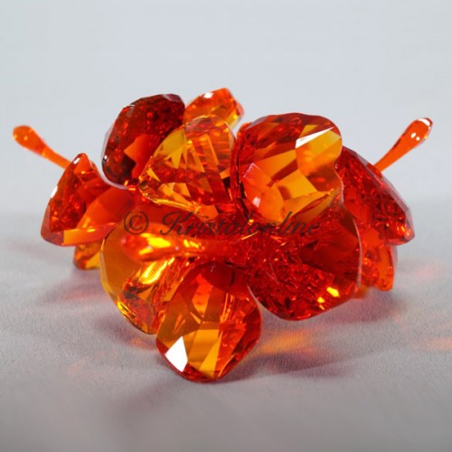Swarovski Kristal | Crystal Paradise | Rode Hibiscus 5136828