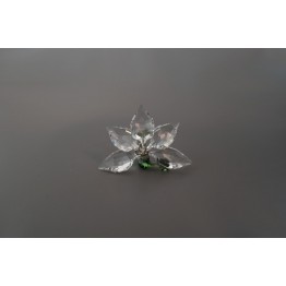 SCS - Ledengeschenk 2013 - Orchidee