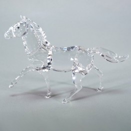 Paard