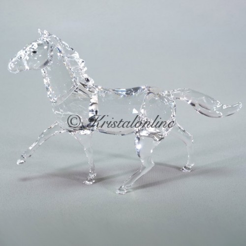 Paard