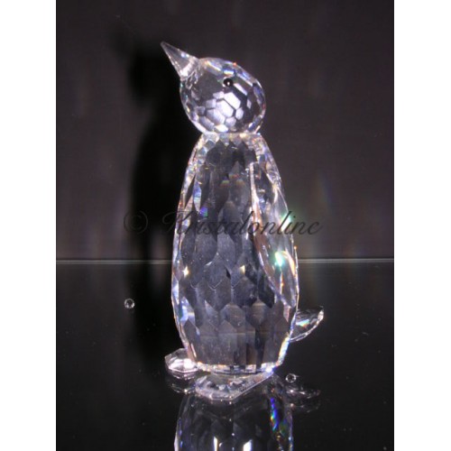 Pinguin groot