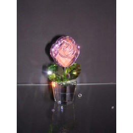 Roos Roze - Middel