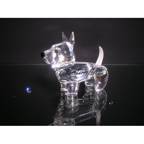 Scotch terrier (zonder doos en cert