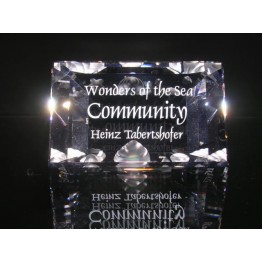 Titel Plaquette 2007 Community