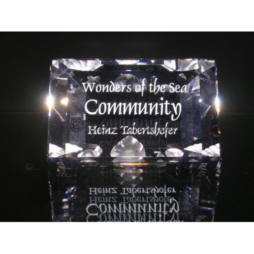 Titel Plaquette 2007 Community