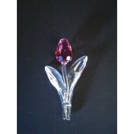 Tulp roze