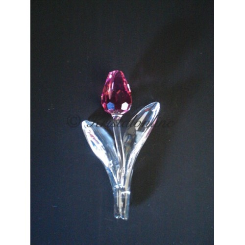 Tulp roze