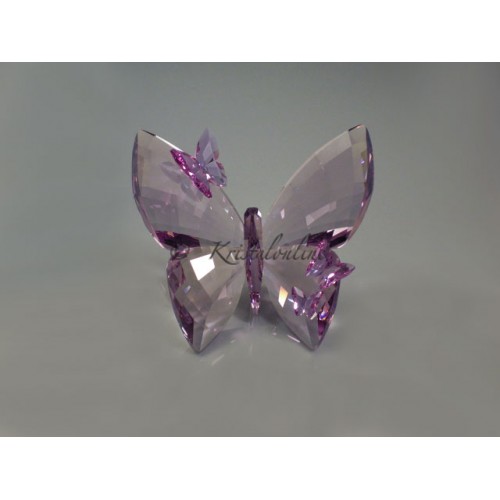 Vlinder Light Amethyst groot
