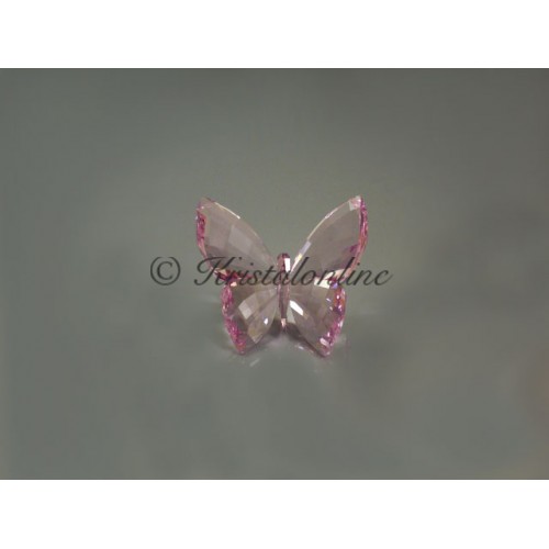 Vlinder Rosaline